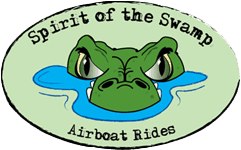 best swamp boat tours florida